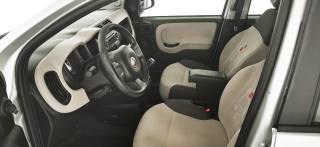FIAT Panda usata, con Servosterzo