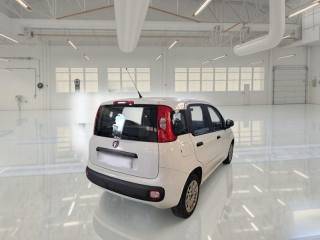 FIAT Panda usata, con Airbag