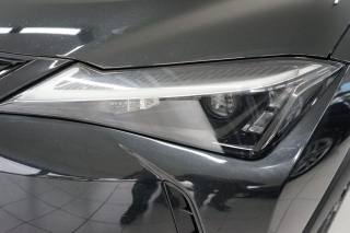 LEXUS UX 250h usata, con Airbag testa