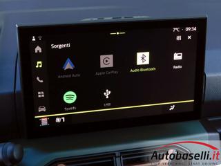 DACIA Spring usata 53