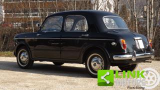 FIAT 1100 usata 51
