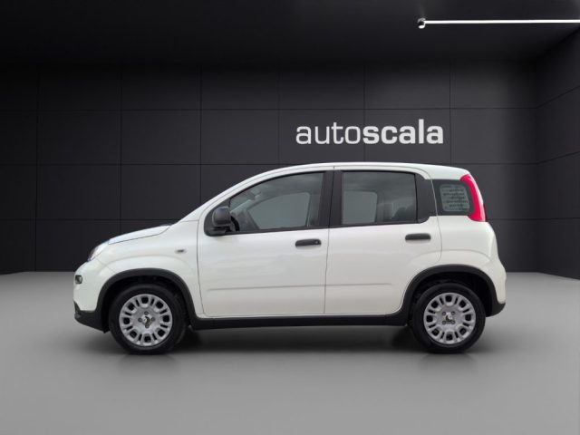 FIAT Panda usata, con Airbag