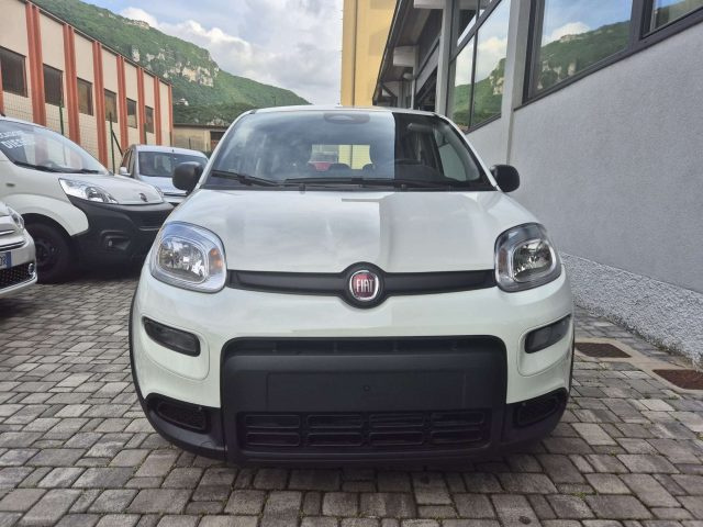 FIAT Panda usata, con Alzacristalli elettrici