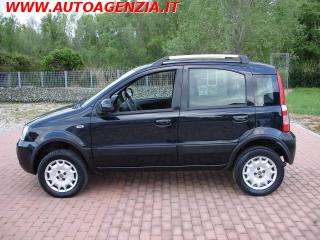 FIAT Panda usata 2