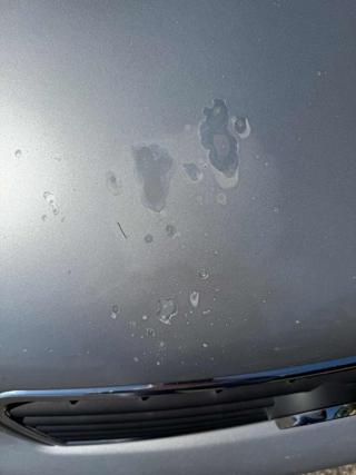 AUDI A4 usata, con Climatizzatore