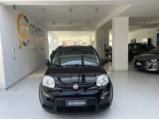 FIAT Panda usata, con Airbag Passeggero