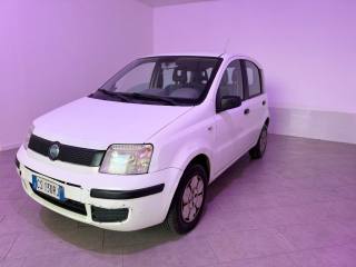 FIAT Panda usata 2