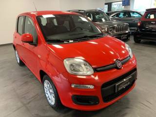 FIAT Panda 1.2 Benzina Easy