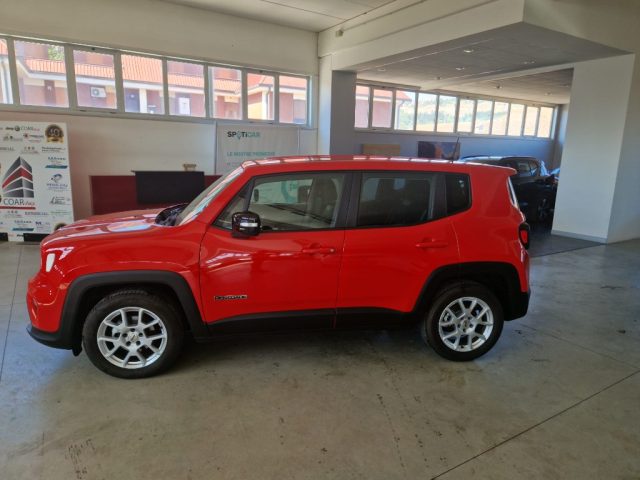 JEEP Renegade usata, con Airbag Passeggero