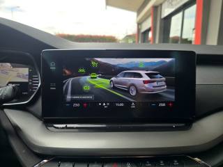 SKODA Octavia usata 60