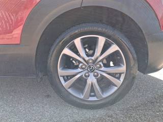 MAZDA CX-30 usata, con Controllo trazione