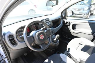 FIAT Panda usata, con Servosterzo