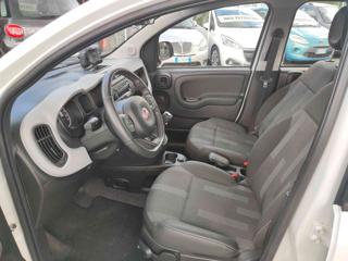 FIAT Panda usata, con Servosterzo