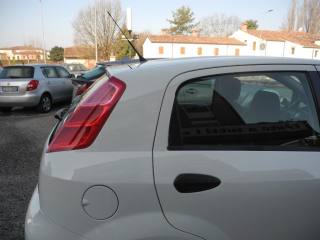 FIAT Punto usata 52
