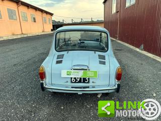 AUTOBIANCHI Bianchina usata 4