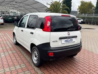 FIAT New Panda usata, con Autoradio