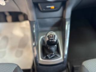 FORD EcoSport usata, con Bracciolo