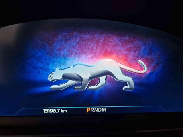 FORD Puma usata, con Climatizzatore