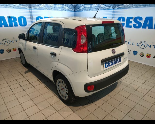 FIAT New Panda usata, con Alzacristalli elettrici