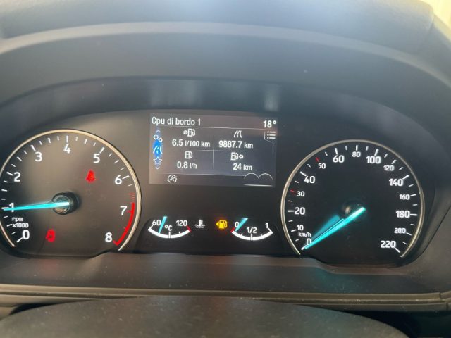 FORD EcoSport usata, con Fendinebbia