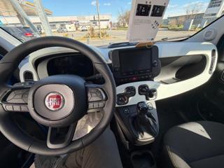 FIAT Panda Cross usata, con Chiusura centralizzata telecomandata