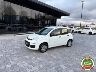FIAT Panda usata, con Airbag laterali
