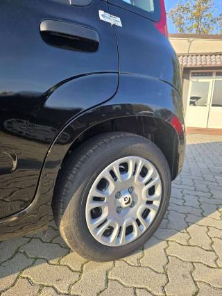 FIAT Panda usata, con Servosterzo