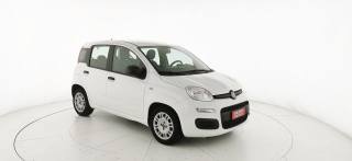 FIAT Panda usata 22