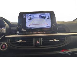 KIA Picanto usata 14