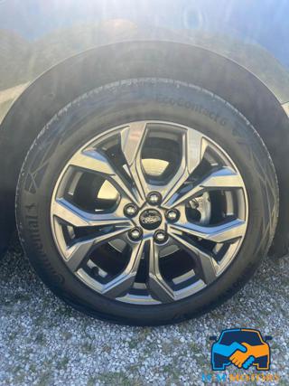 FORD Focus usata 21