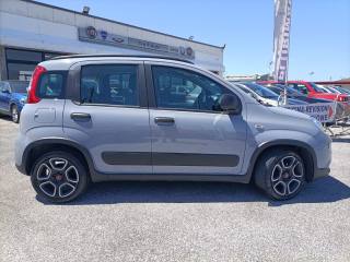 FIAT Panda usata, con Controllo trazione