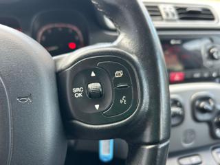 FIAT Panda usata, con Volante multifunzione