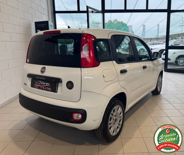 FIAT Panda usata, con Airbag Passeggero