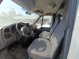 FORD Transit usata 5