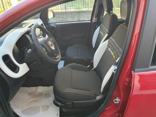 FIAT Panda usata, con Climatizzatore