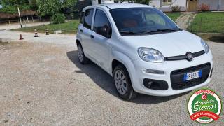 FIAT Panda usata, con Controllo trazione