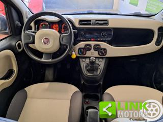 FIAT Panda usata 37