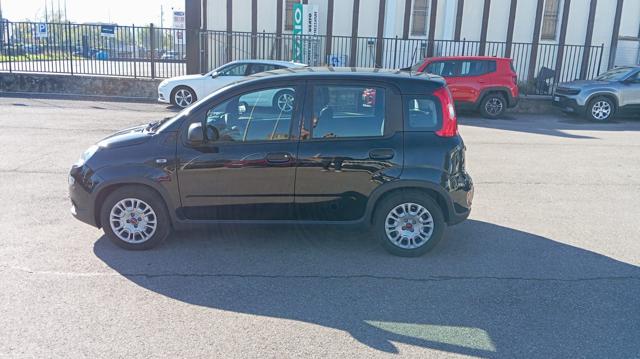 FIAT Panda usata, con Airbag testa