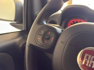 FIAT Panda usata 14