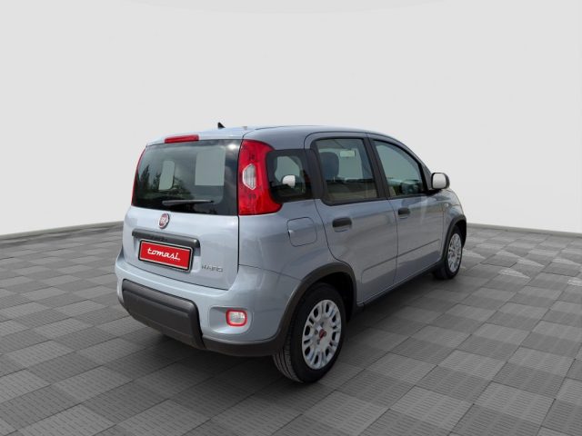 FIAT Panda usata 4