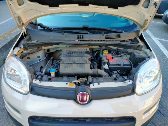 FIAT Panda usata 18