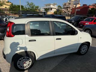 FIAT Panda usata, con Fendinebbia