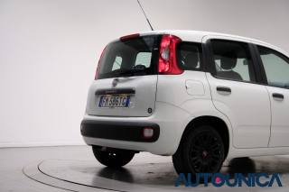 FIAT Panda usata 43