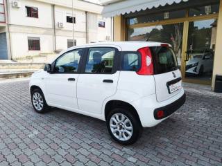 FIAT Panda usata, con Airbag Passeggero