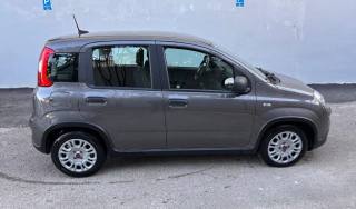 FIAT Panda usata, con Boardcomputer