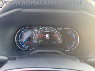 TOYOTA RAV 4 usata, con Fendinebbia