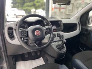 FIAT Panda Cross usata, con ESP
