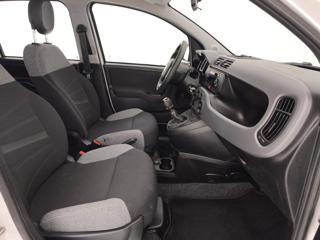 FIAT Panda usata 27