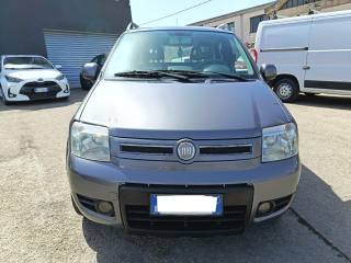 FIAT Panda usata 2