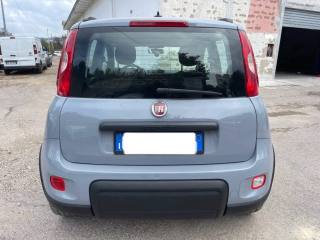 FIAT Panda usata 6